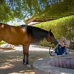 Agave Adobe